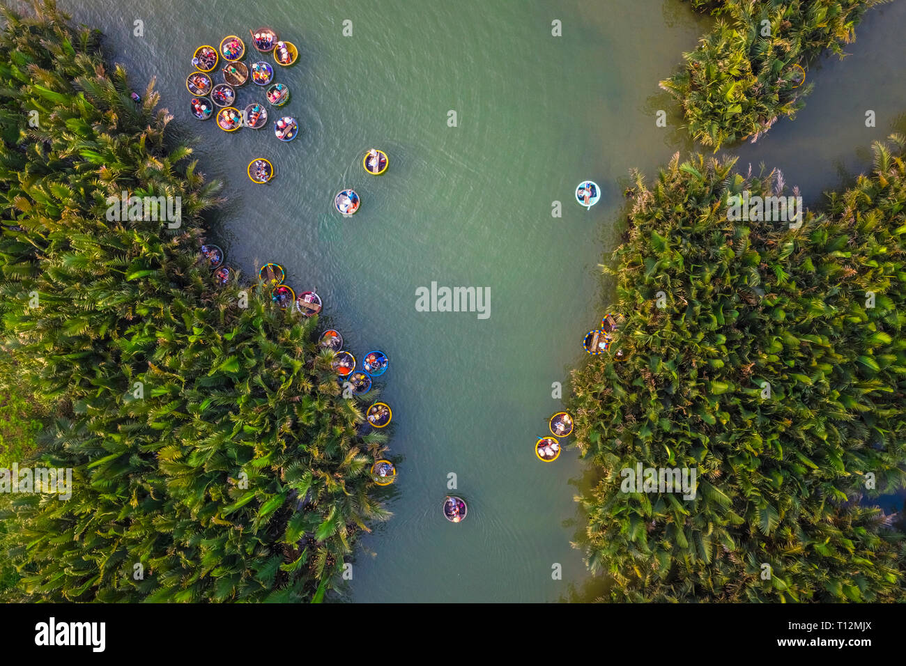 Aerial view, tourists from China, Korea, America, Russia a basket boat tour at the coconut water ( mangrove palm ) forest Hoi An, Quang Nam, Vietnam Stock Photo