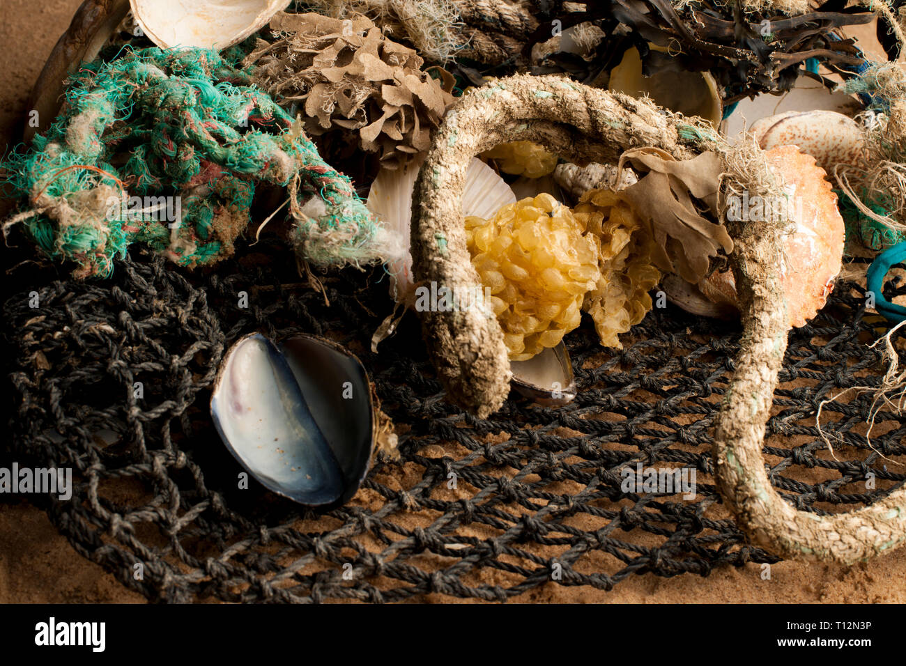 Flotsam and jetsam hires stock photography and images Alamy