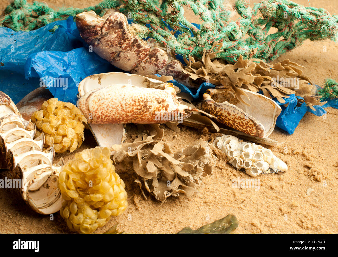 Flotsam and jetsam hires stock photography and images Alamy
