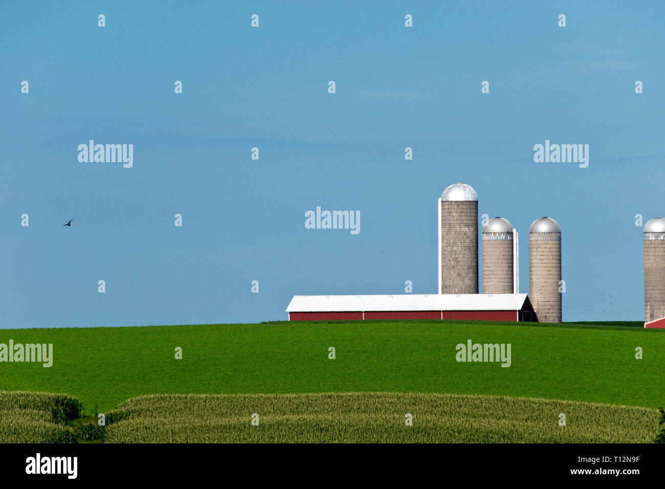 Farm fields with a red barn, grain silos, and a country road in Wisconsin, not far from the city of Oshkosh. Stock Photo