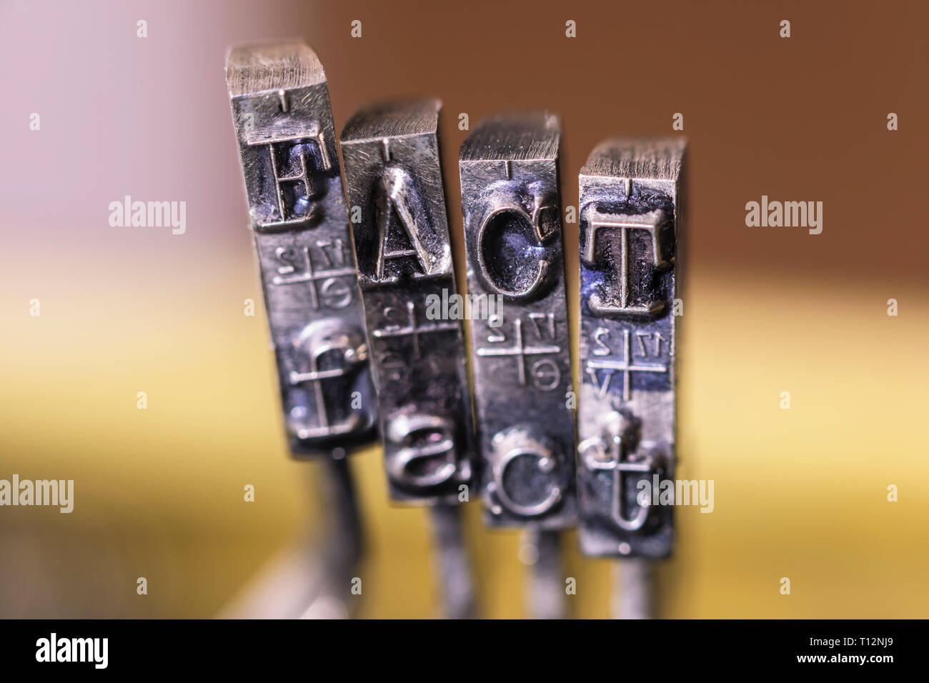 Macrophotography of typewriter hammers with FACT word Stock Photo