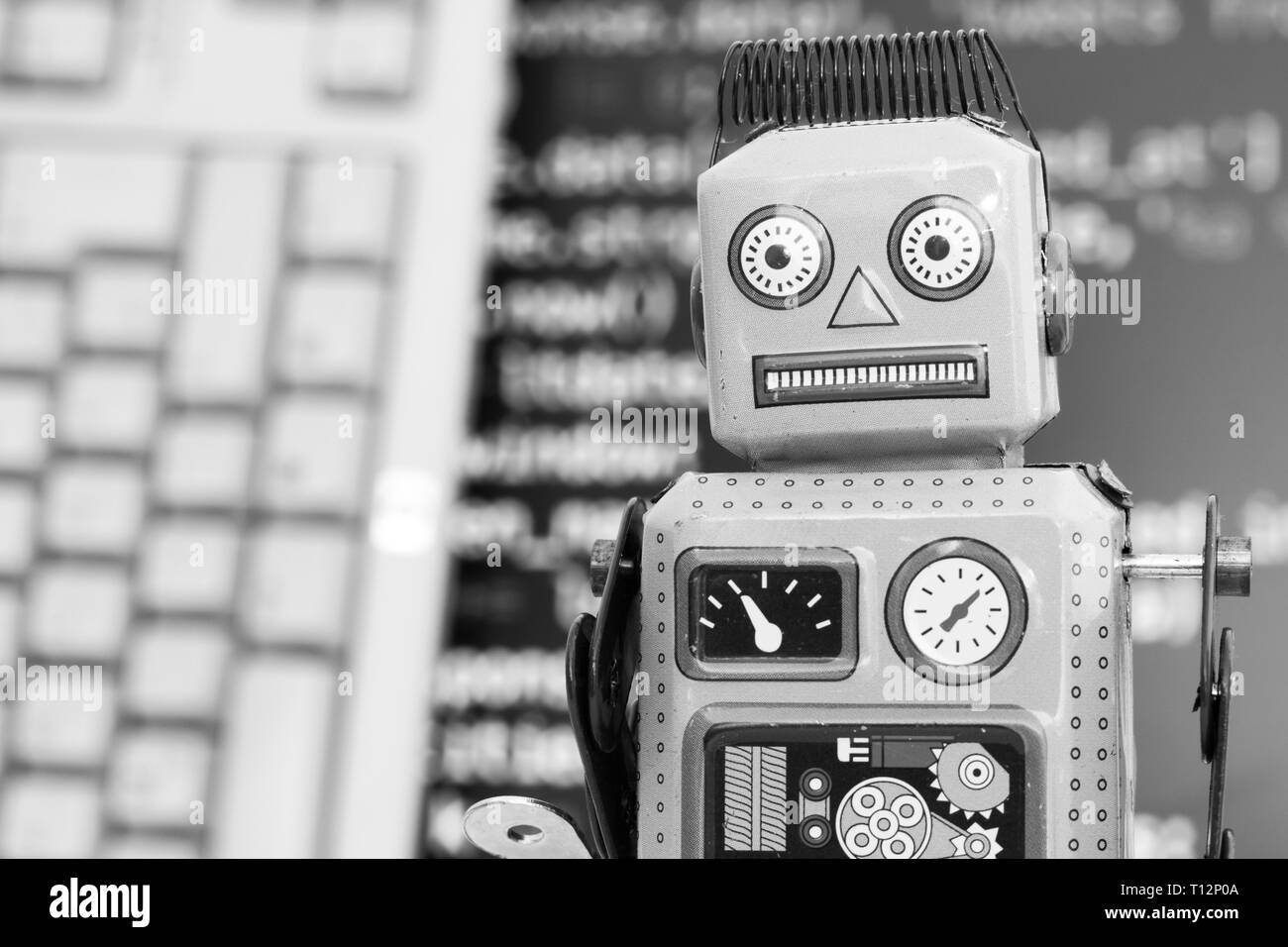 Symbol for a chatbot or social bot and algorithms, program code in the background Stock Photo