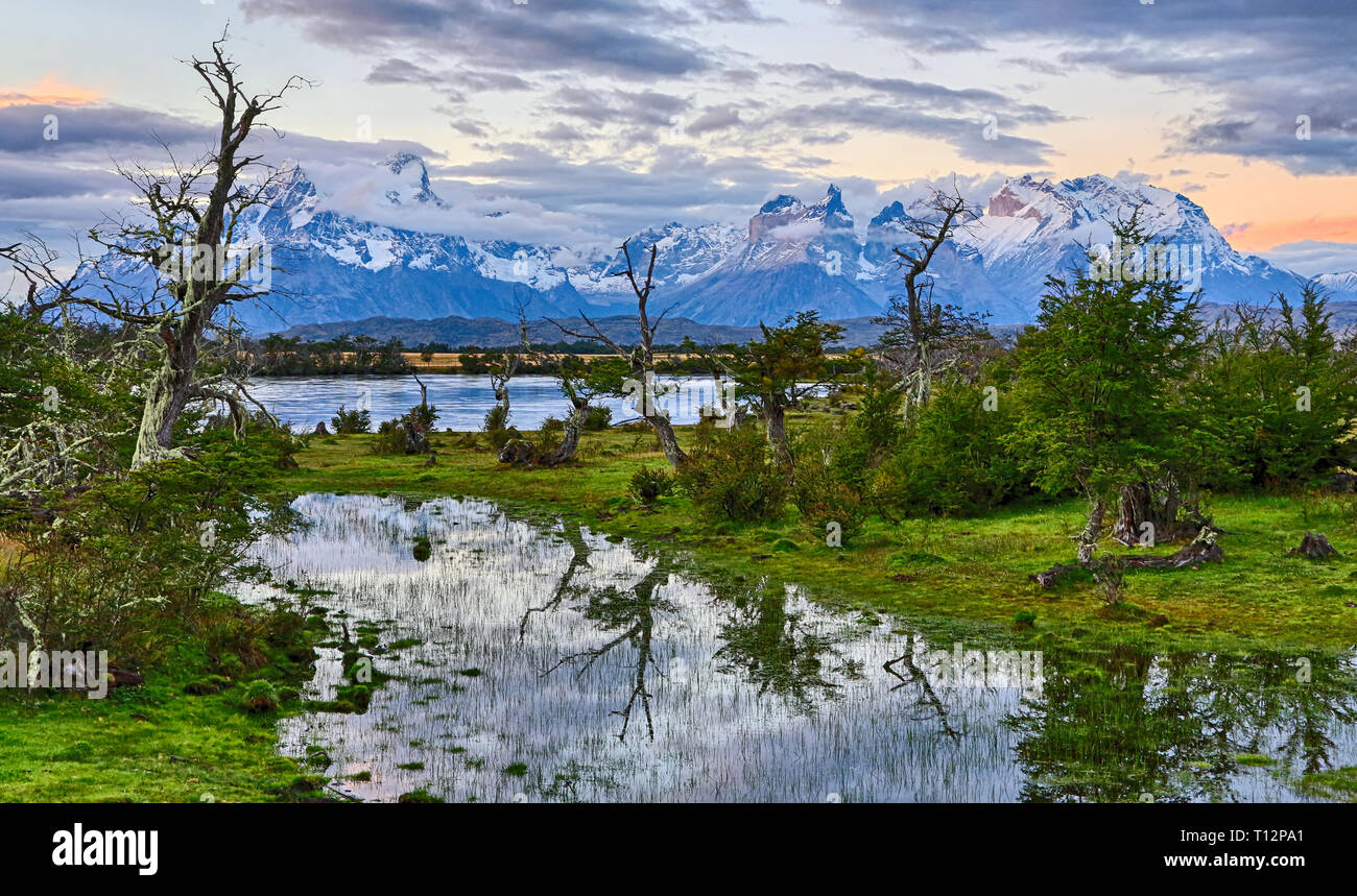 Evening at Rio Serrano - Torres del Paine N.P. (Patagonia, Chile) Stock Photo