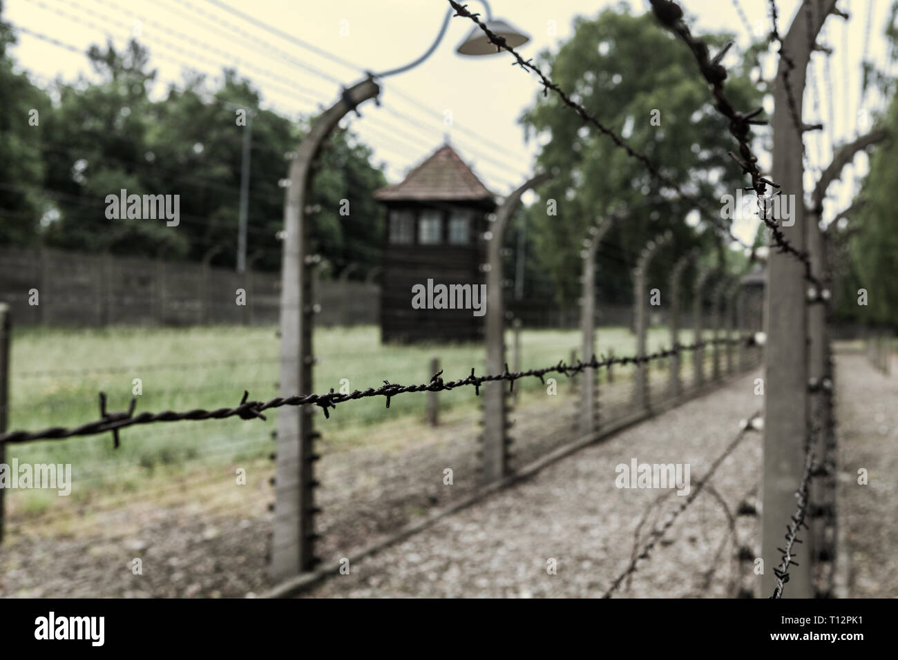 Barbed wire fencing at Auschwitz Concentration Camp Stock Photo