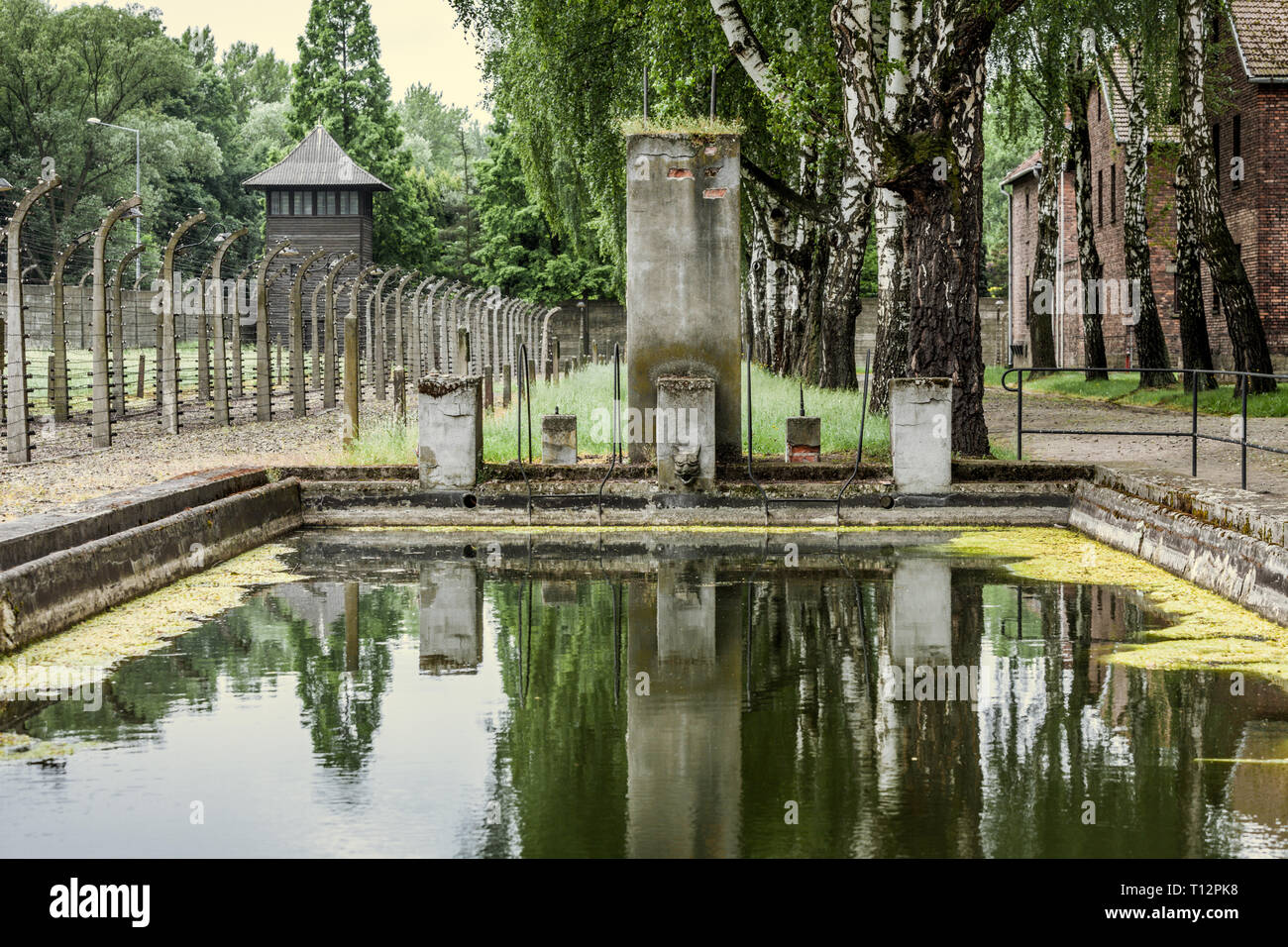 Auschwitz Swimming Pool Picture