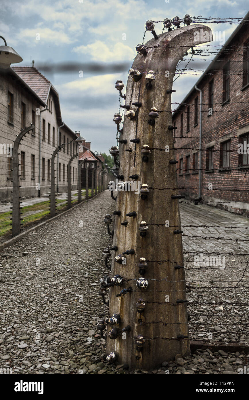 Barbed wire fencing at Auschwitz Concentration Camp Stock Photo