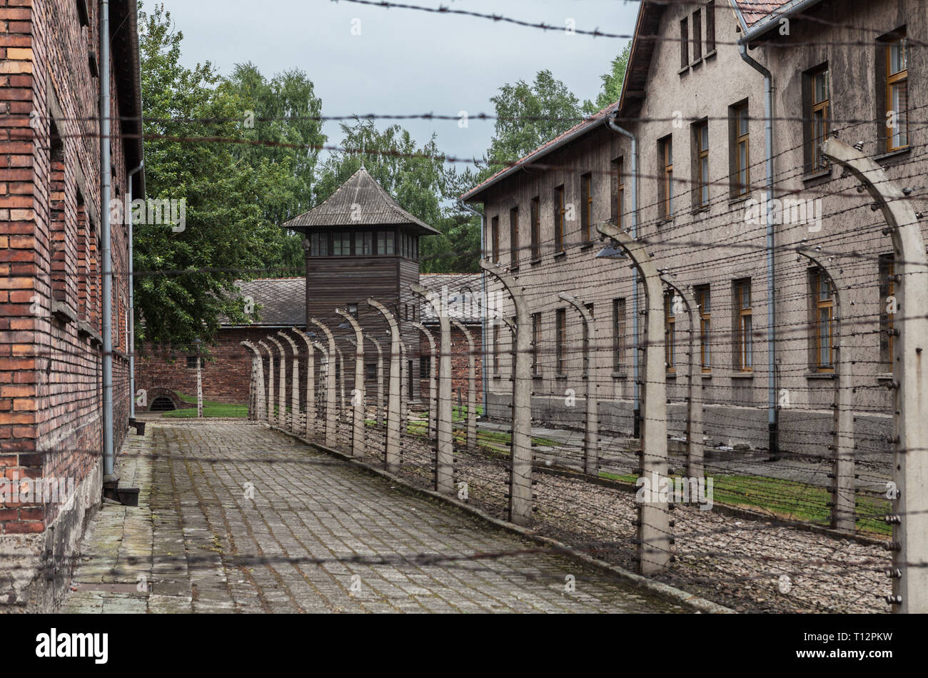 Barbed wire fencing at Auschwitz Concentration Camp Stock Photo