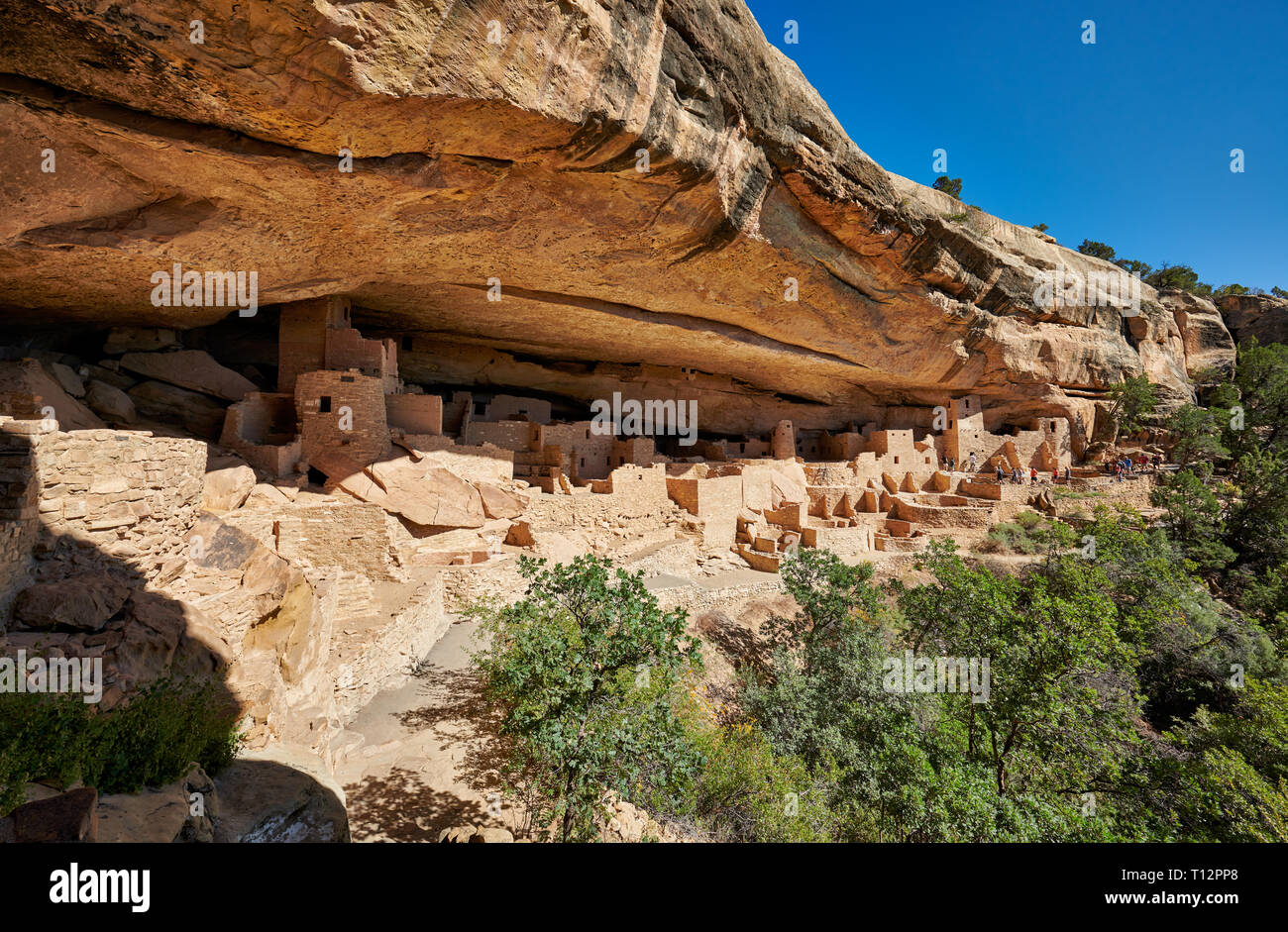 Cliff Palace, Cliff dwellings in Mesa-Verde-National Park, UNESCO world heritage site, Colorado, USA, North America Stock Photo