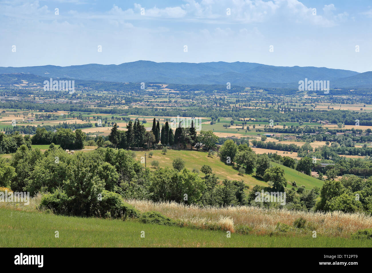 Italy Landscae Rural Rural Italian landscape in Tuscany Stock Photo - Alamy