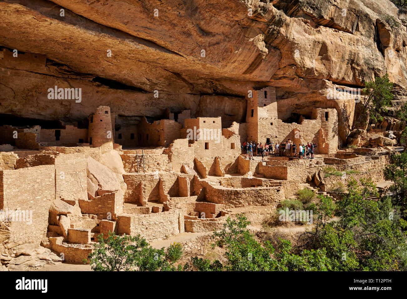 Cliff Palace, Cliff dwellings in Mesa-Verde-National Park, UNESCO world heritage site, Colorado, USA, North America Stock Photo