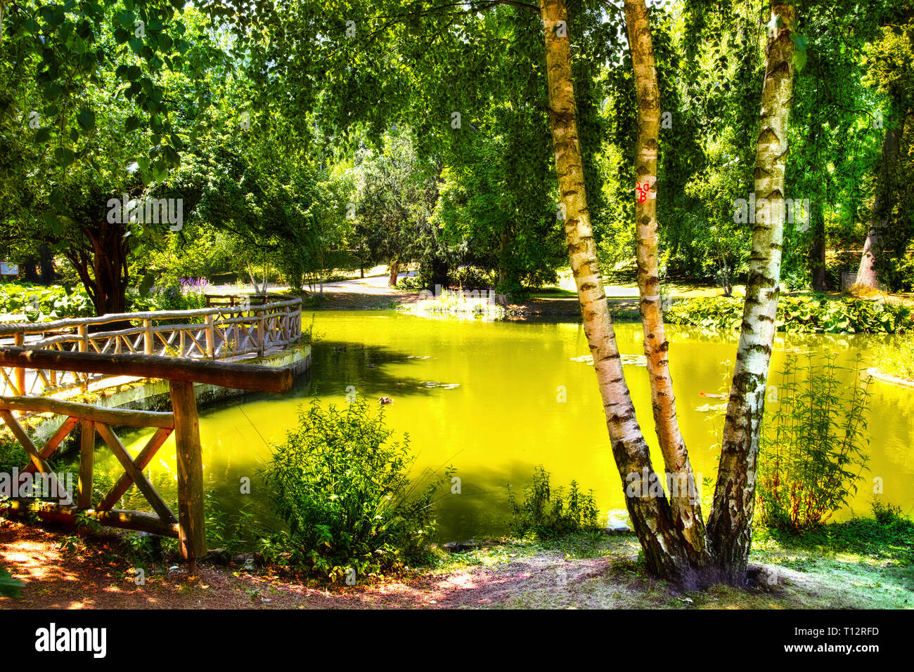 Big Pond Kurpark Bad Nauheim Ii Stock Photo 283096308 Alamy