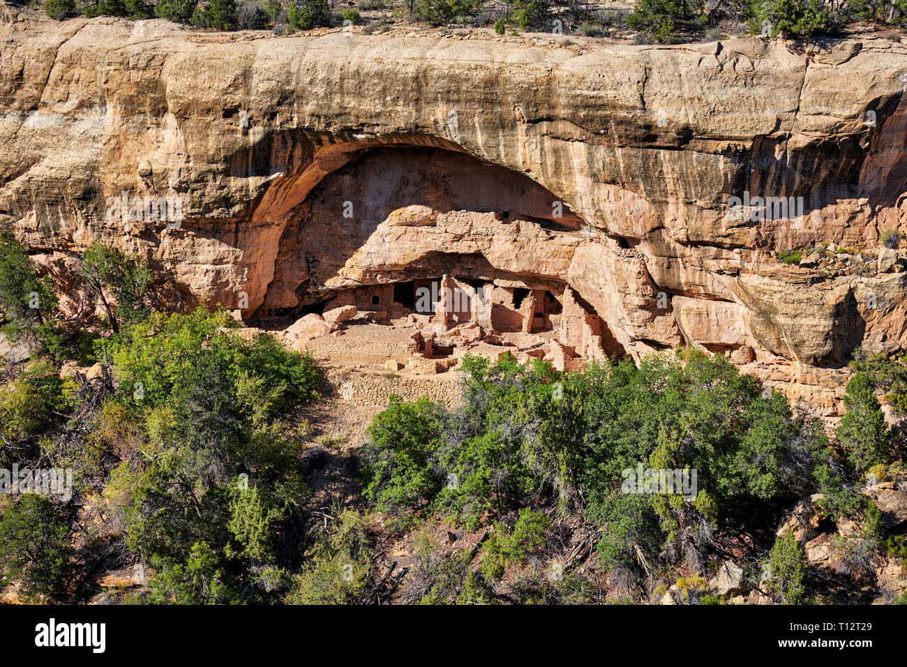 Oak tree house, Cliff dwellings in Mesa-Verde-National Park, UNESCO world heritage site, Colorado, USA, North America Stock Photo