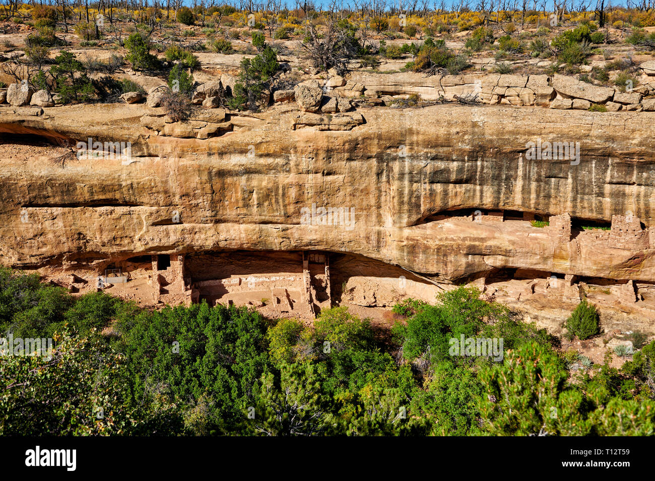 Cliff dwellings in Mesa-Verde-National Park, UNESCO world heritage site, Colorado, USA, North America Stock Photo