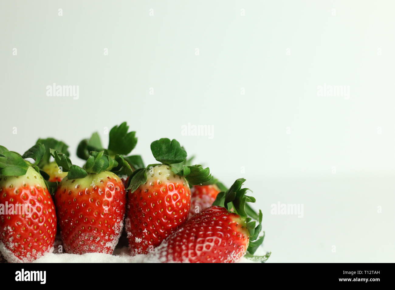Fresh strawberries with sugar on white background Stock Photo - Alamy
