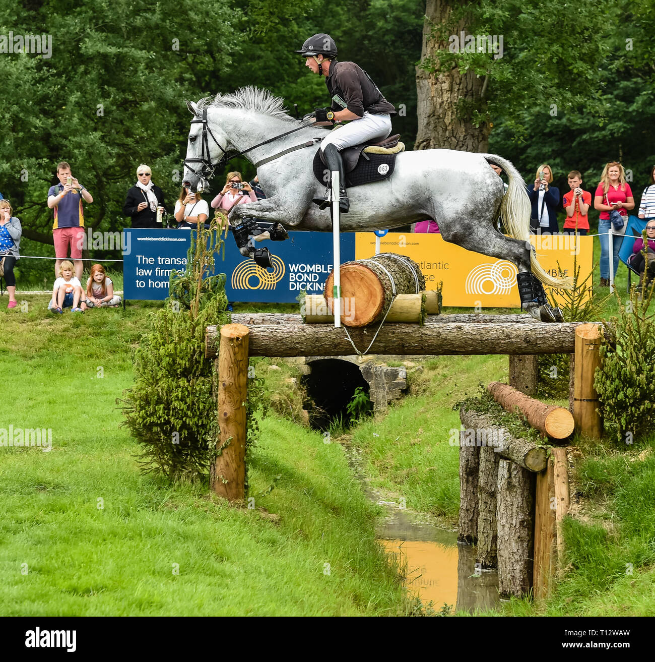 Richard P. Jones and ALFIES CLOVER during the cross country phase, Equitrek Bramham Horse Trials, Bramham, Yorkshire, 2018 Stock Photo