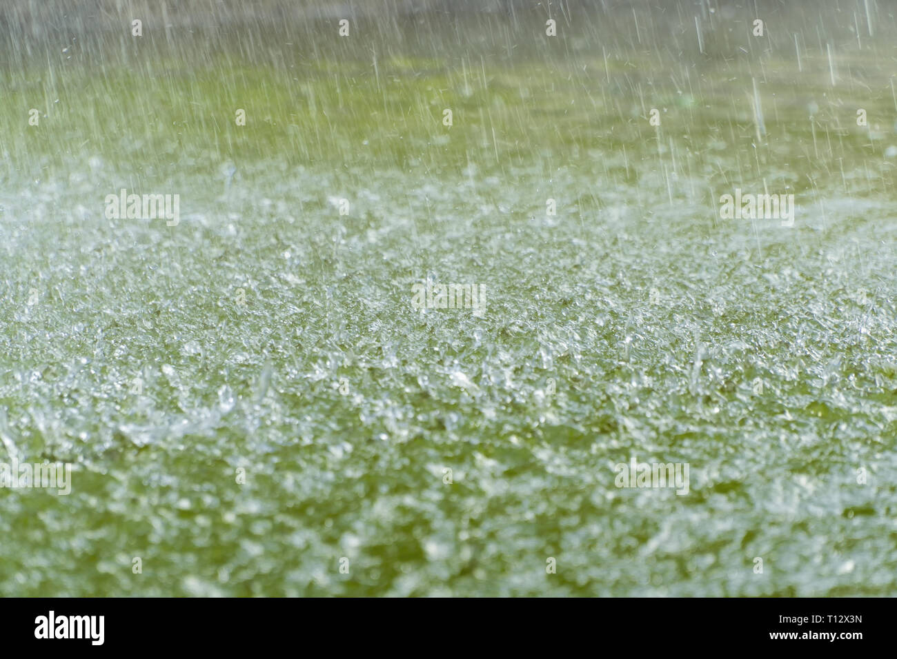 Droplets hitting water surface. Raindrops falling on the green surface of the water. Motion blur. Stock Photo