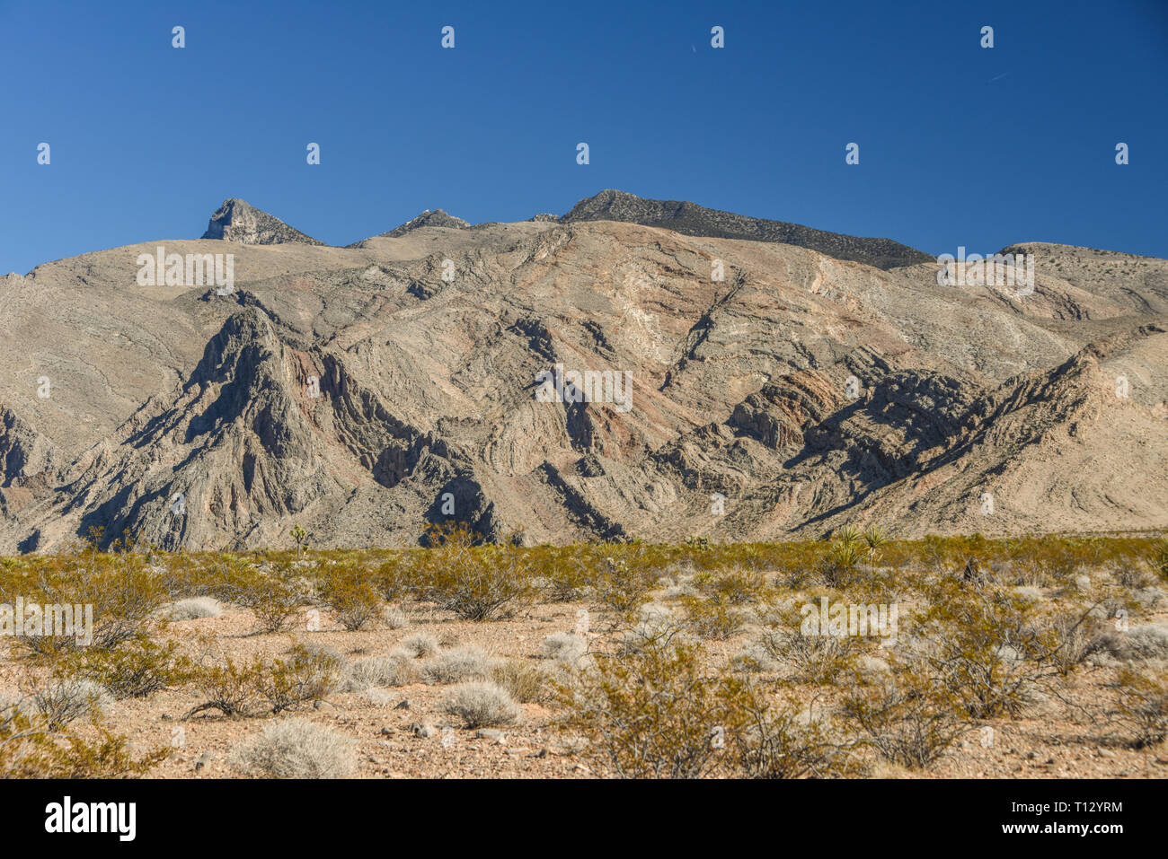 Gold Butte National Monument, Bunkerville, Nevada, USA, North America Stock Photo