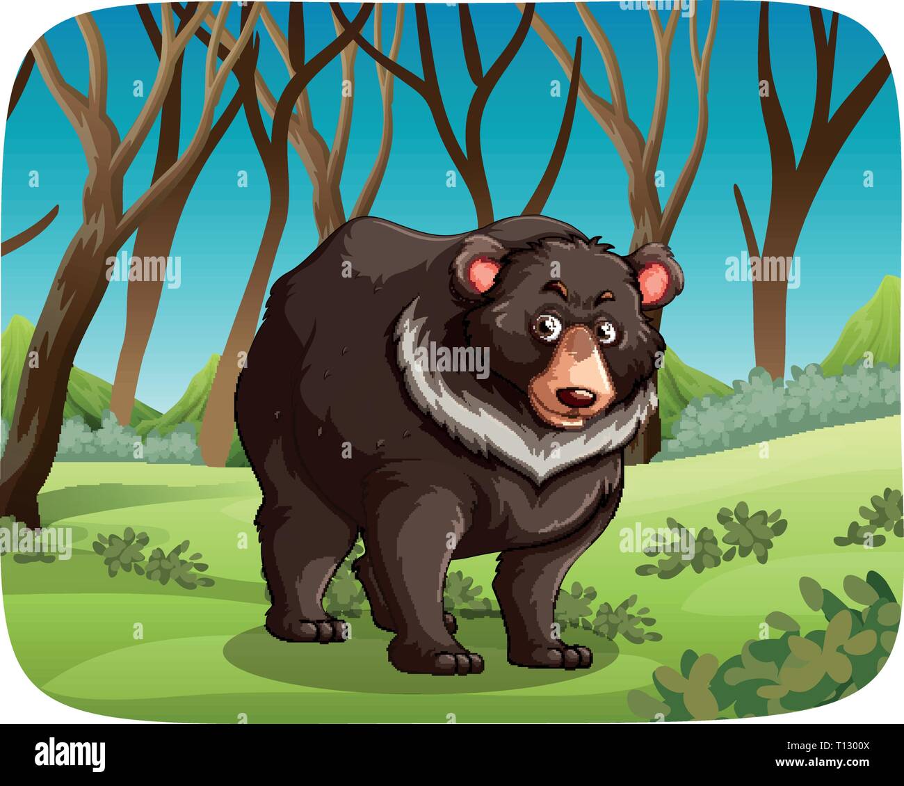 Black bear in nature scene illustration Stock Vector Image & Art - Alamy