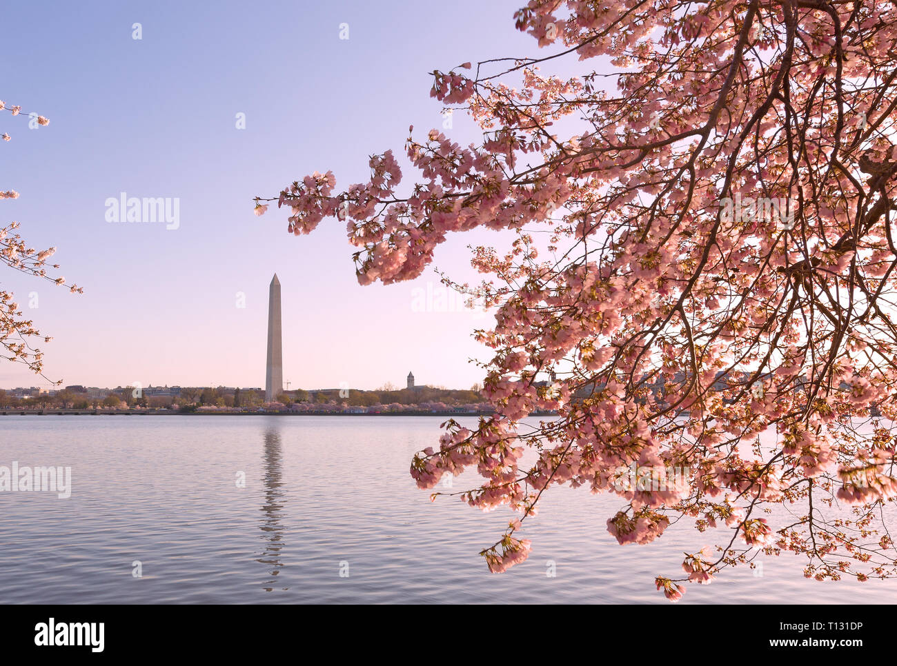 Spring Dc Spring sunset tidal basin dc hi-res stock photography and images - Alamy