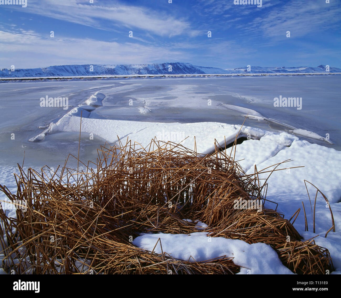 Tule lake national wildlife refuge hires stock photography and images