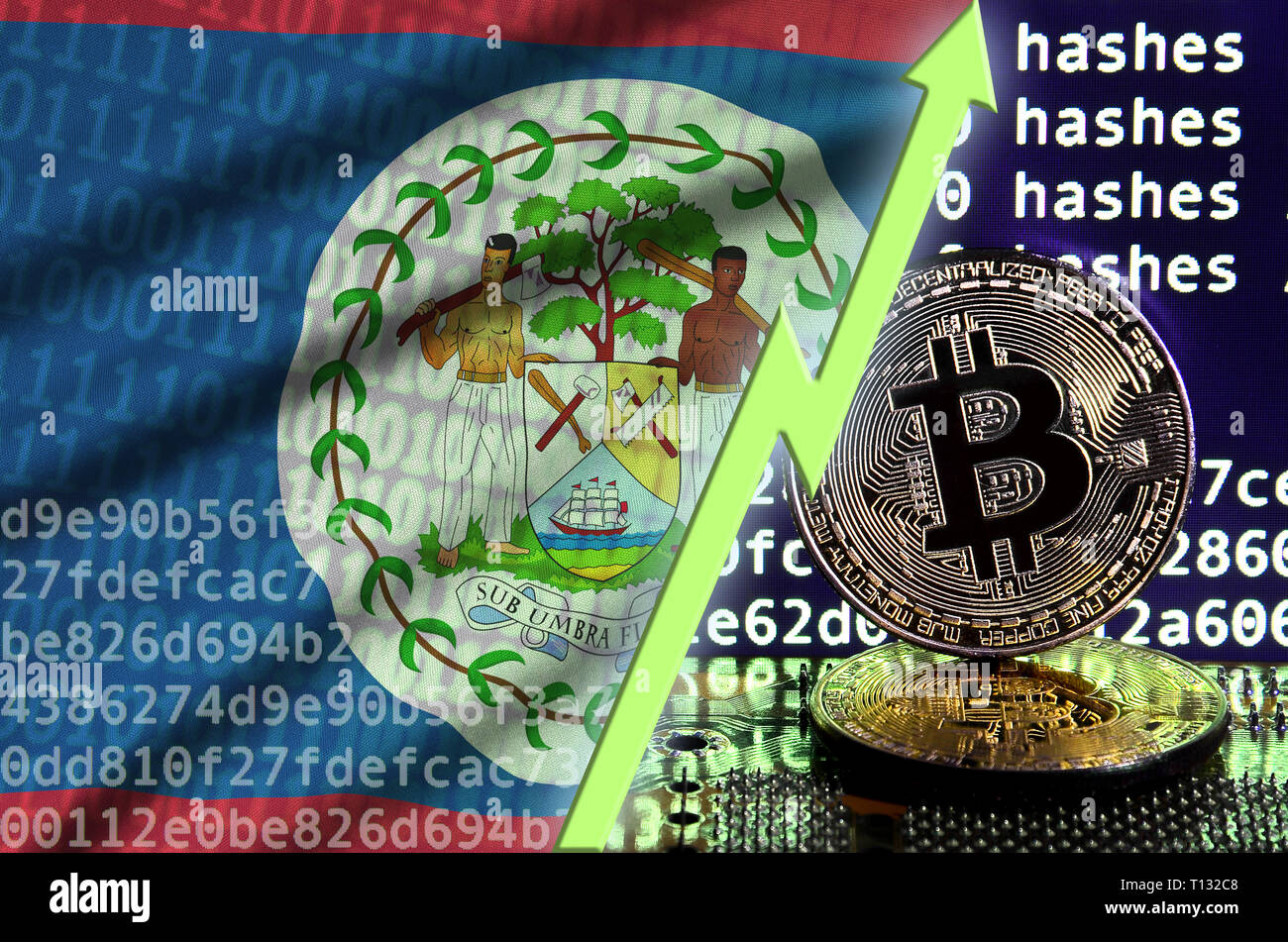 Belize flag and rising green arrow on bitcoin mining screen and two  physical golden bitcoins. Concept of high conversion in cryptocurrency  mining Stock Photo - Alamy