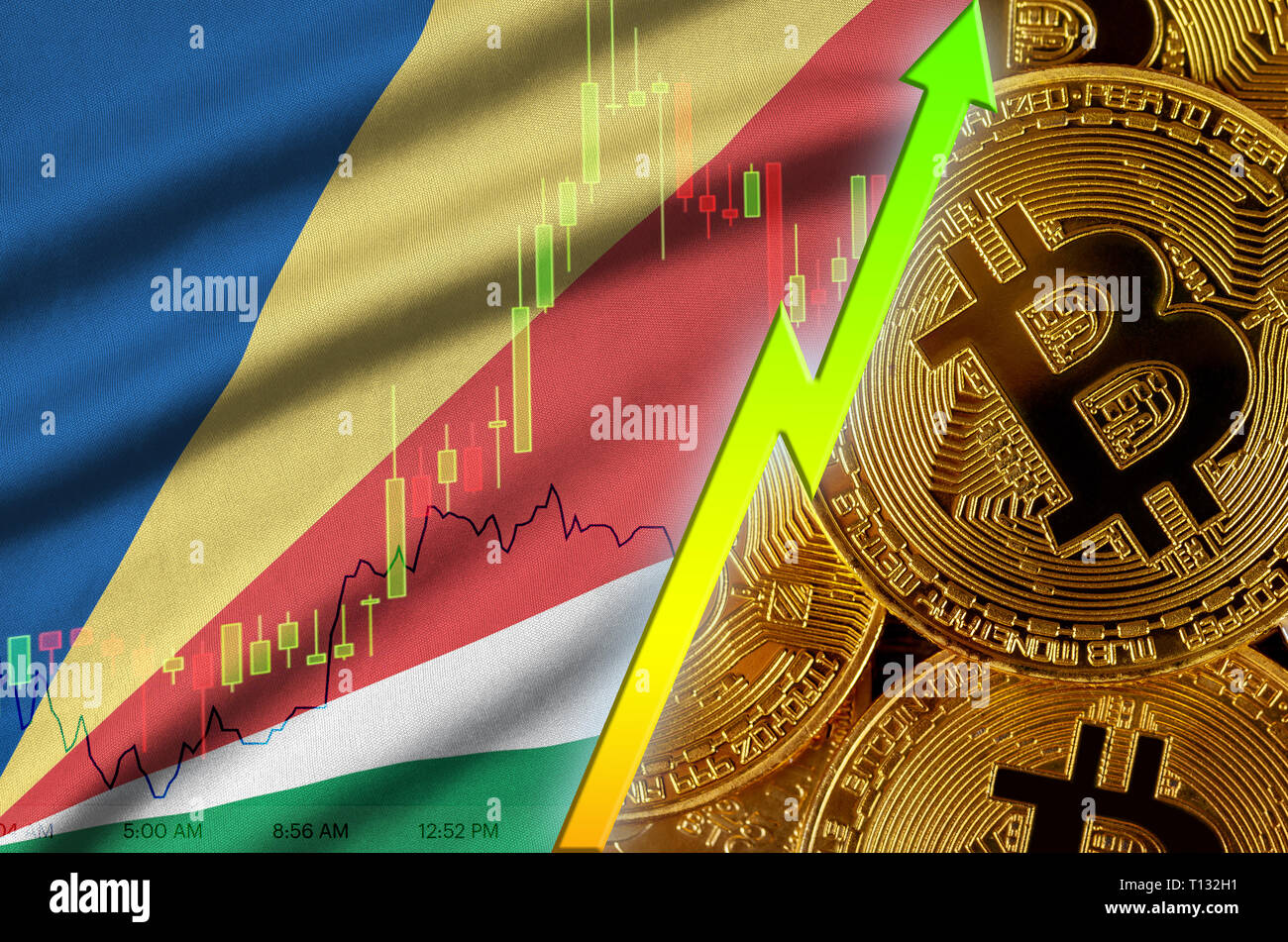 Seychelles flag and cryptocurrency growing trend with many golden bitcoins.  Concept of raising Bitcoin in price or high conversion in cryptocurrency  Stock Photo - Alamy