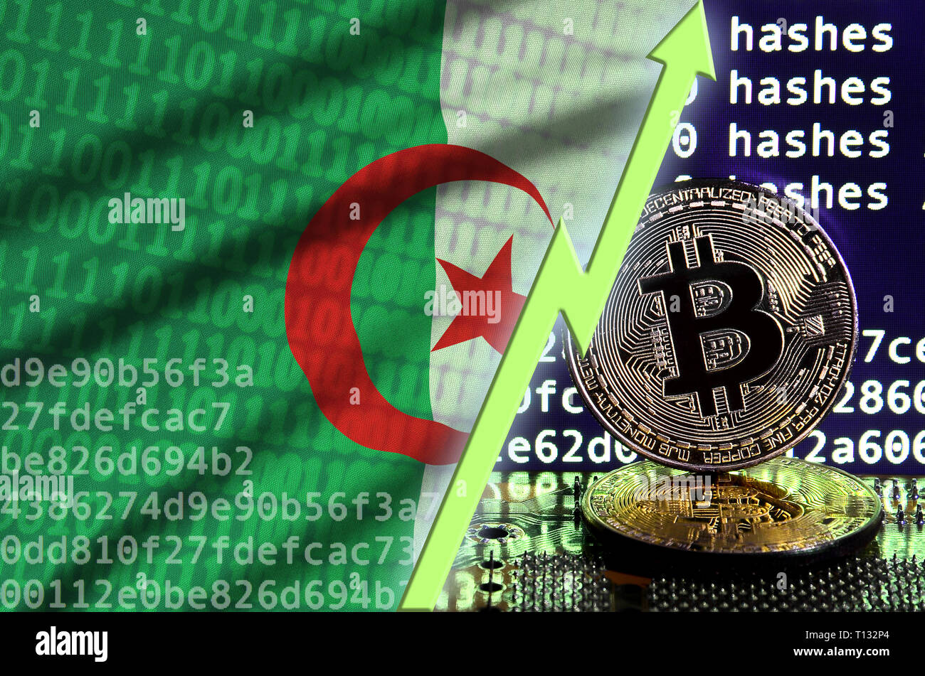 Algeria flag and rising green arrow on bitcoin mining screen and two  physical golden bitcoins. Concept of high conversion in cryptocurrency  mining Stock Photo - Alamy