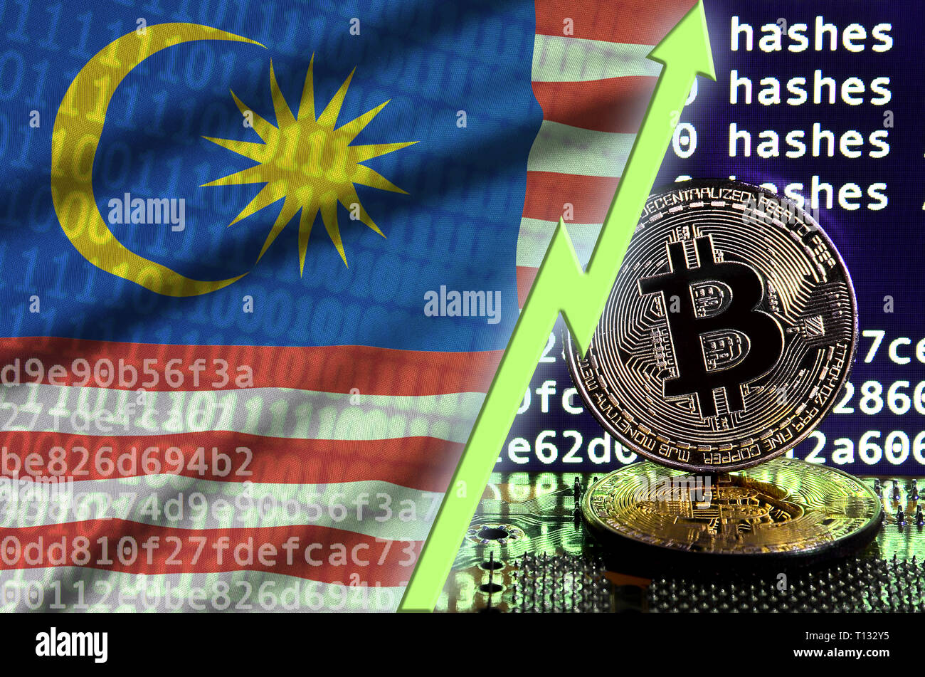 Malaysia flag and rising green arrow on bitcoin mining screen and two  physical golden bitcoins. Concept of high conversion in cryptocurrency  mining Stock Photo - Alamy