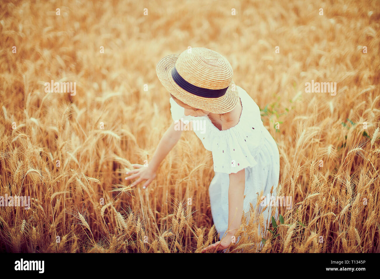 Happy child in autumn wheat field. Beautiful girl in white dress and ...