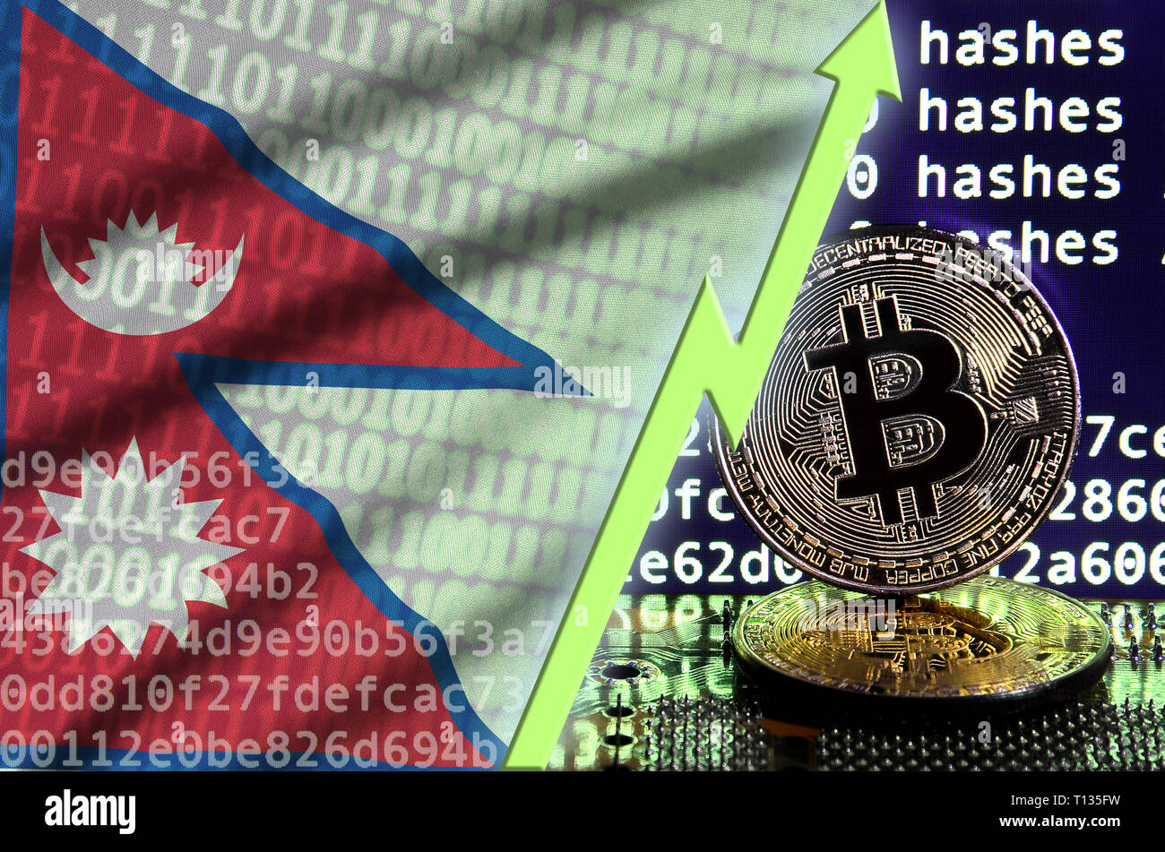 Nepal flag and rising green arrow on bitcoin mining screen and two physical  golden bitcoins. Concept of high conversion in cryptocurrency mining Stock  Photo - Alamy