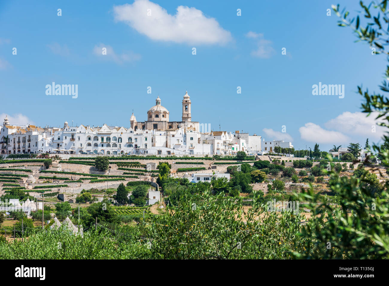 Village Of White Houses Locorotondo Puglia Italy Stock Photo Alamy village-of-white-houses-locorotondo-puglia-italy-stock-photo-alamy
