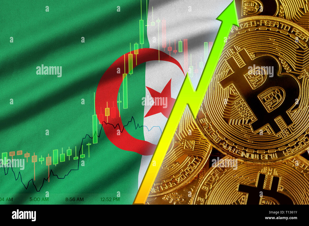 Algeria flag and cryptocurrency growing trend with many golden bitcoins.  Concept of raising Bitcoin in price or high conversion in cryptocurrency  min Stock Photo - Alamy