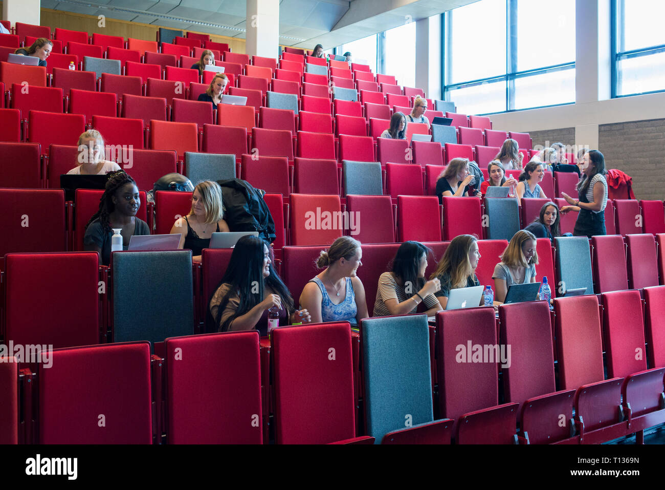 A large sloped lecture theatre classroom at a dutch university Stock Photo Alamy