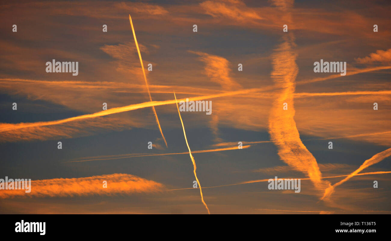 Multiple vapour trail jet streams high in the sky, lit by the orange light of sunset. A very typical European skyscape. Stock Photo