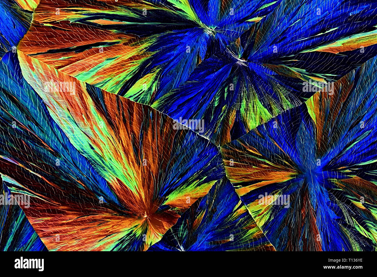 Crystals of ascorbic acid, commonly known as Vitamin C. Microscope