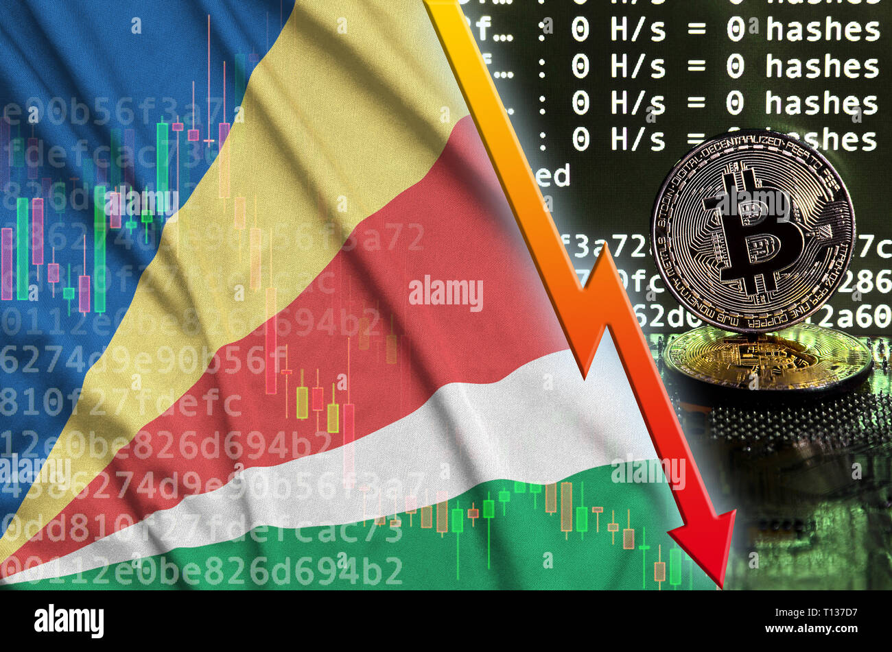 Seychelles flag and falling red arrow on bitcoin mining screen and two  physical golden bitcoins. Concept of low conversion in cryptocurrency  mining Stock Photo - Alamy