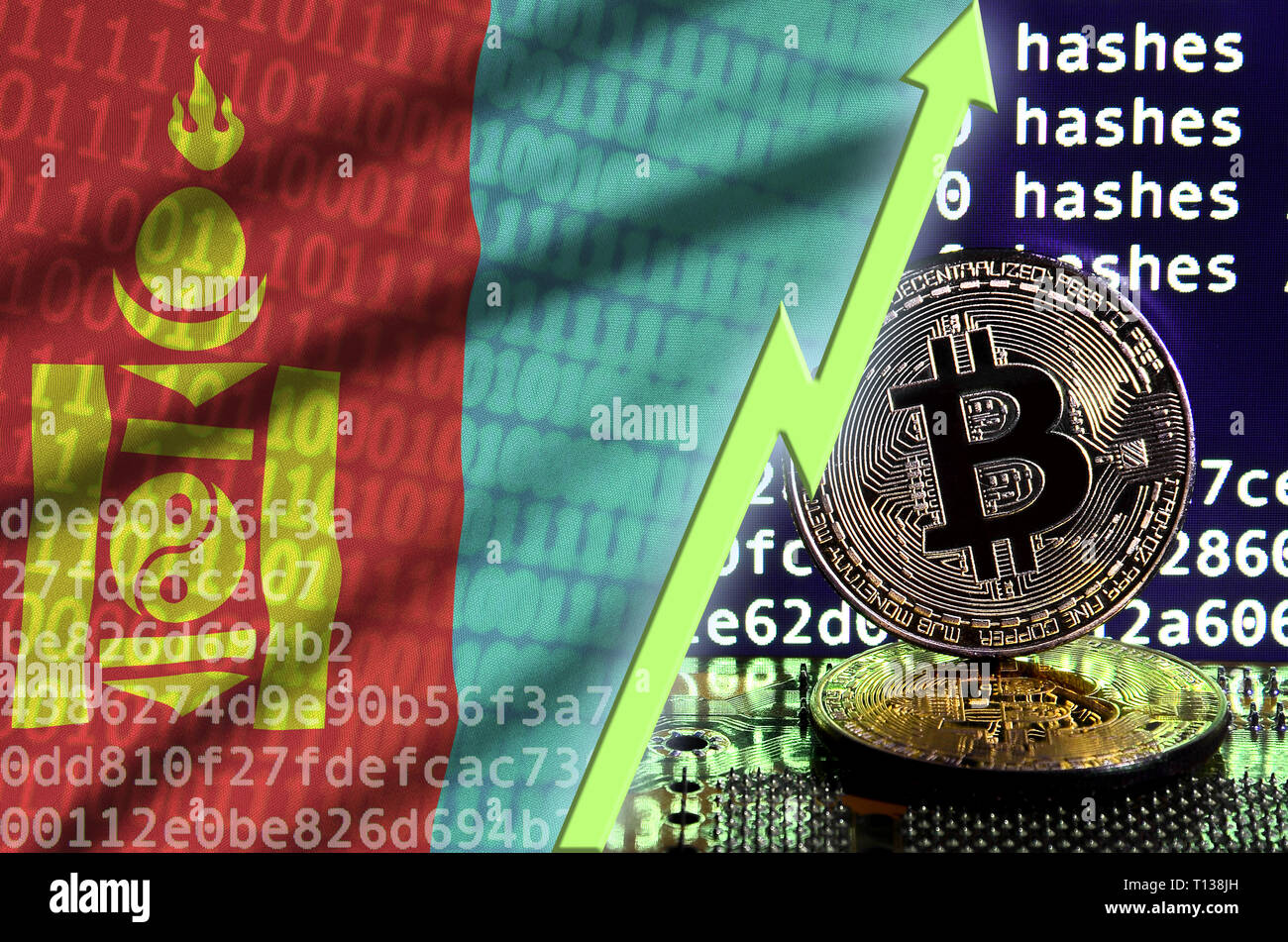 Mongolia flag and rising green arrow on bitcoin mining screen and two  physical golden bitcoins. Concept of high conversion in cryptocurrency  mining Stock Photo - Alamy