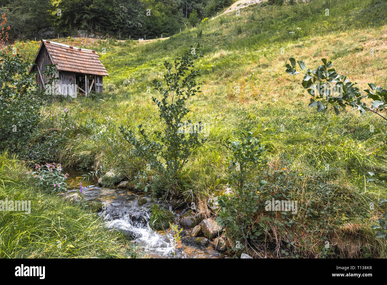 hay hut at small rivulet, goat path of village Forbach, Northern Black Forest, Germany Stock Photo