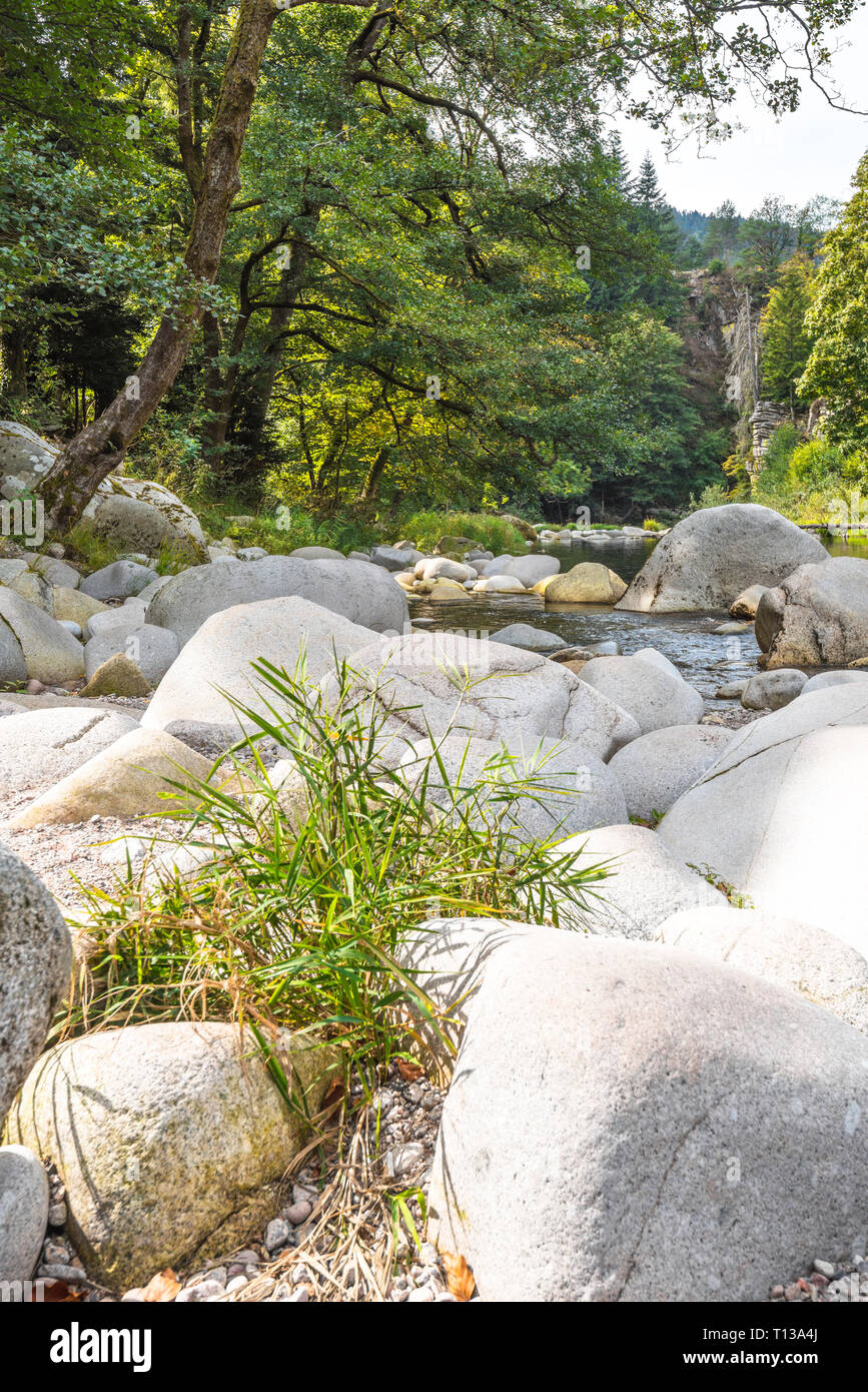 Murg valley black forest hires stock photography and images Alamy