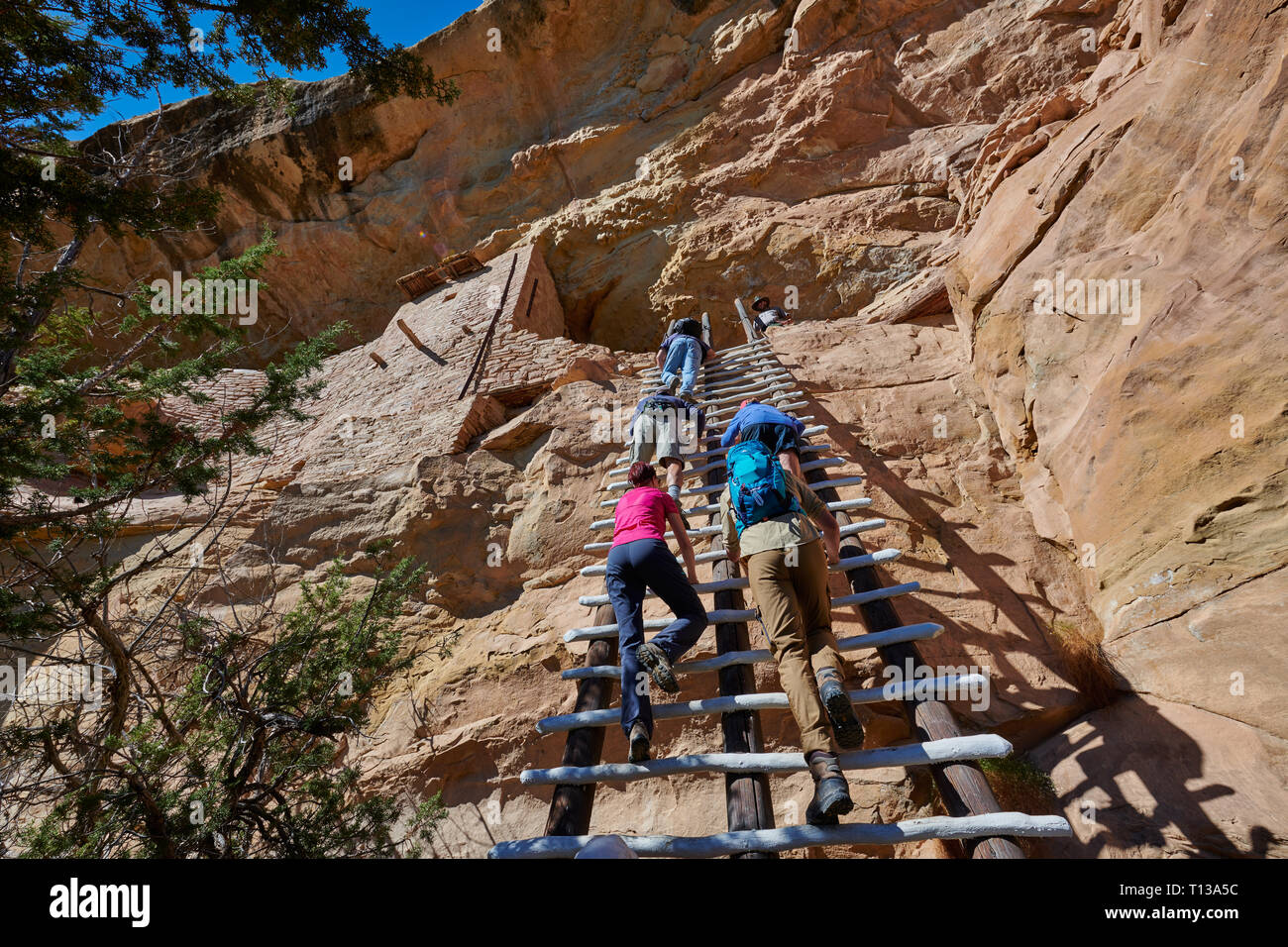 tourists climbing up steep ladder up to Balcony House, Cliff dwellings in Mesa-Verde-National Park, UNESCO world heritage site, Colorado, USA, Stock Photo