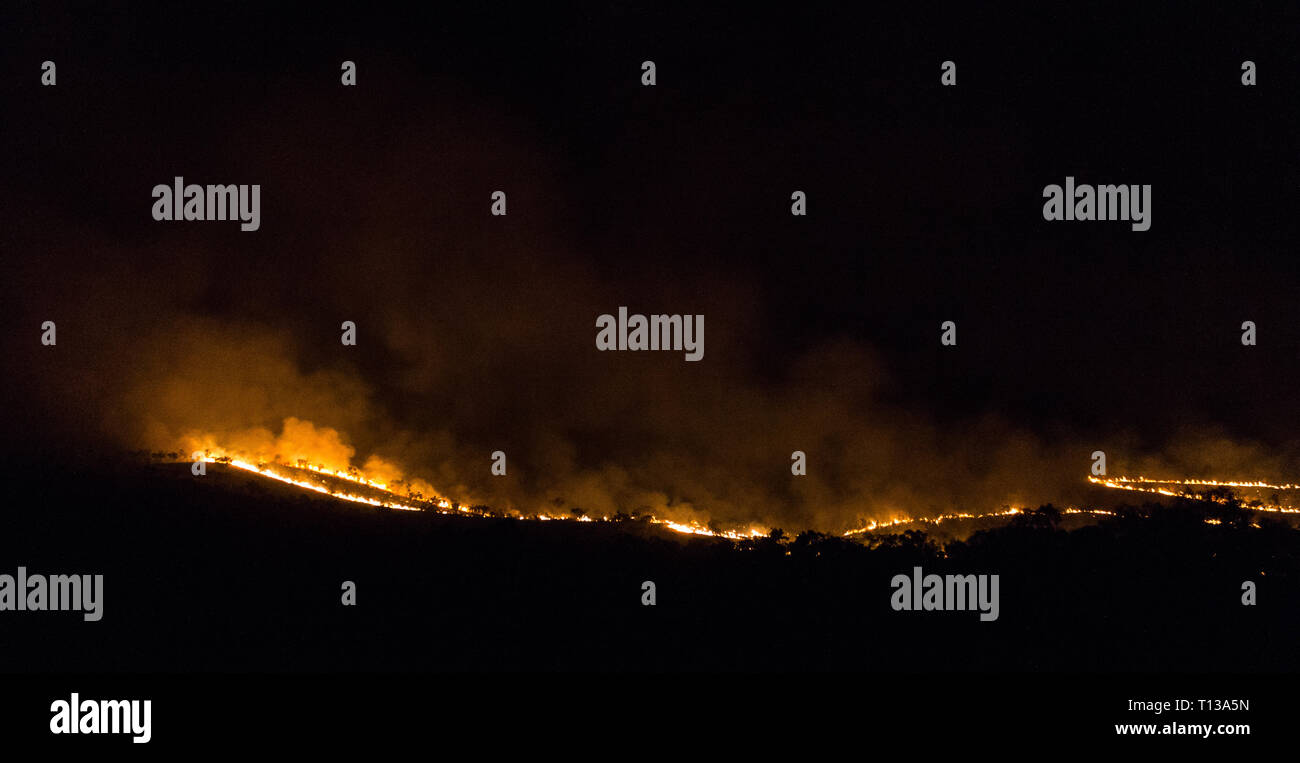 australian bushfire of a forrest at Night, nothern territory Stock ...