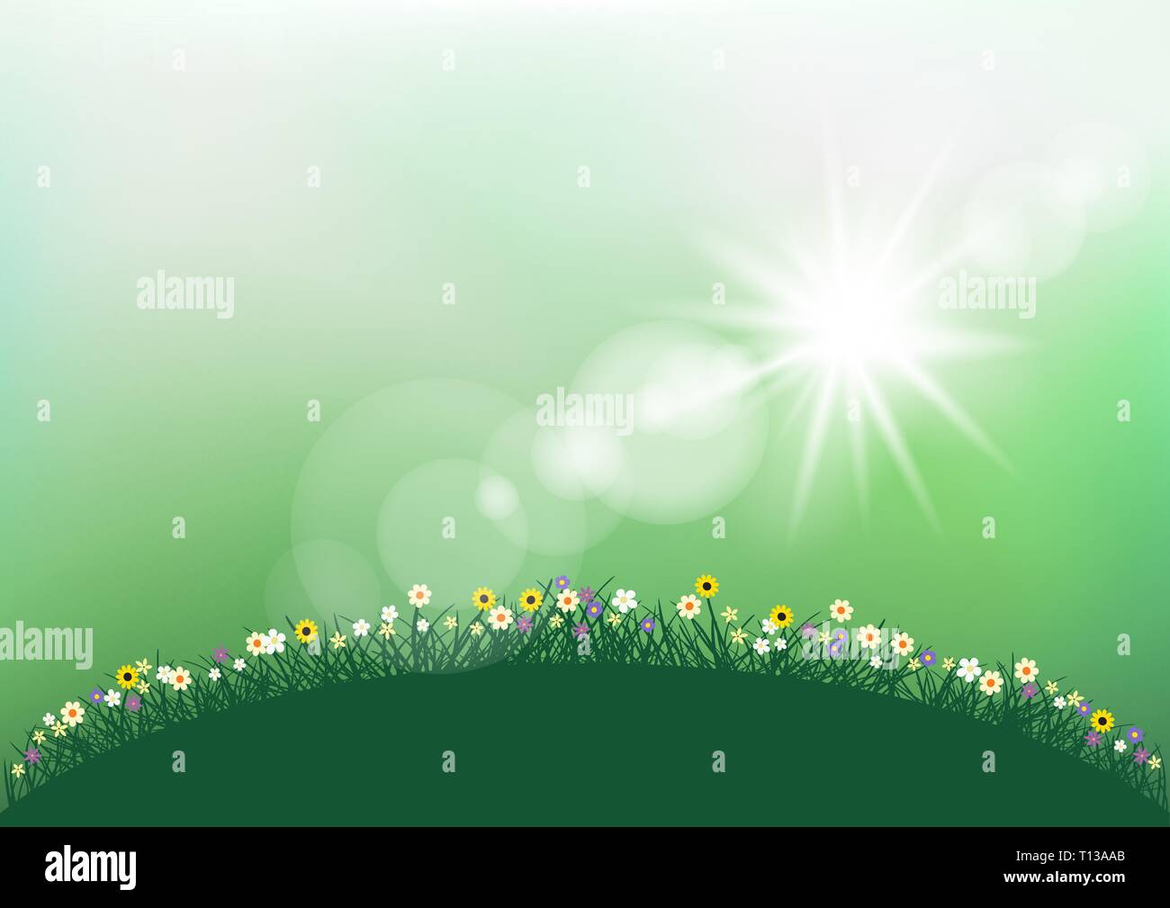 sunshine air force 1