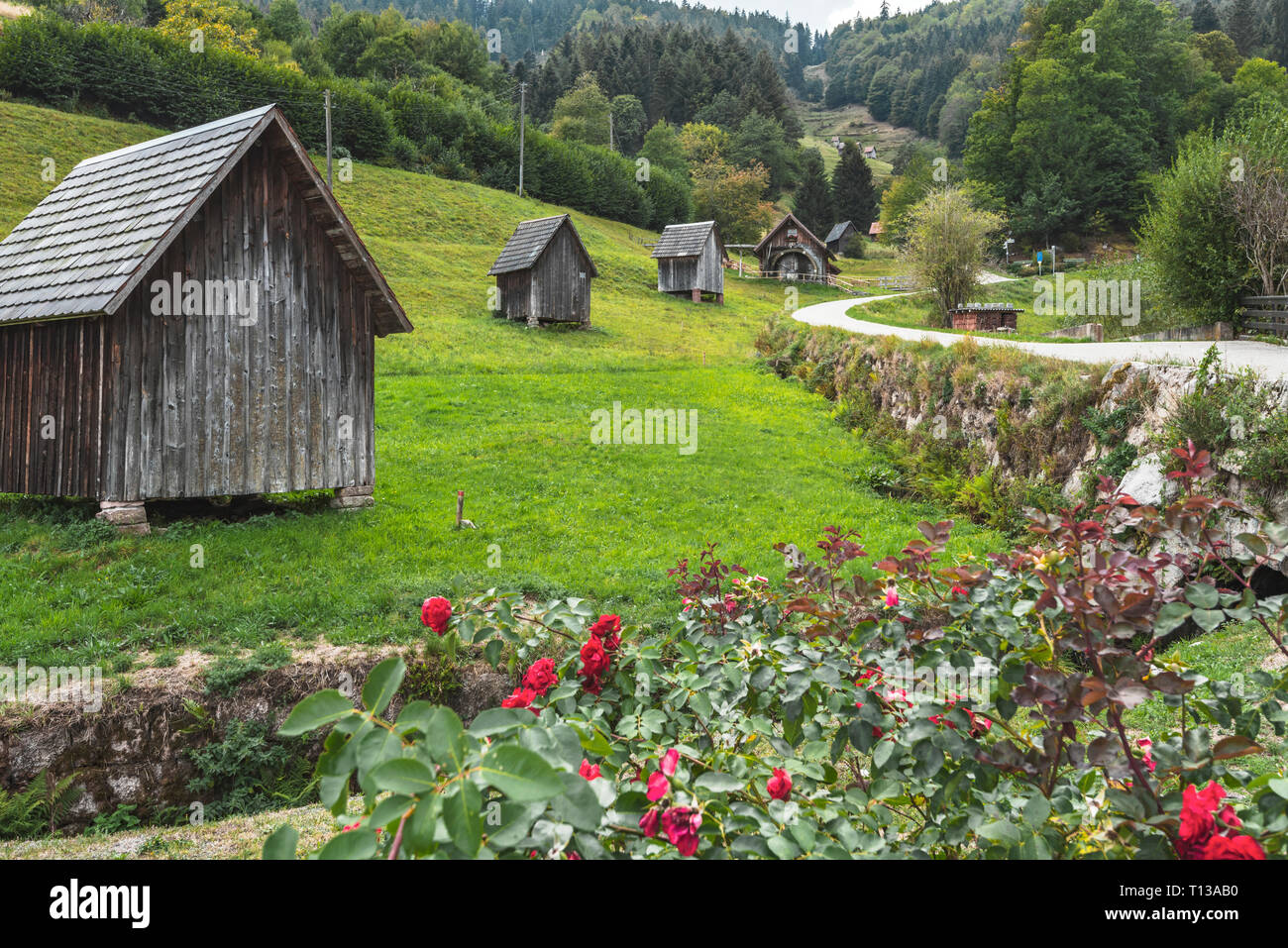 hay huts of the village Bermersbach, community Forbach, Murg valley in the Northern Black Forest, Germany, cultural landscape at the hillside Stock Photo