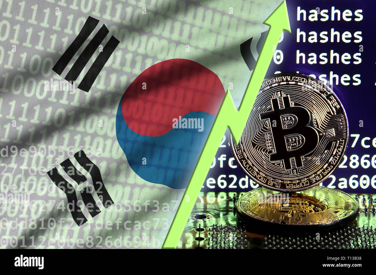 South Korea flag and rising green arrow on bitcoin mining screen and two  physical golden bitcoins. Concept of high conversion in cryptocurrency  mining Stock Photo - Alamy