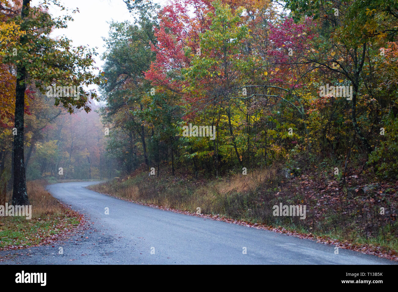 Weather In Massanutten Va In November at Benjamin Macbain blog Weather In Massanutten Va In November at Benjamin Macbain blog