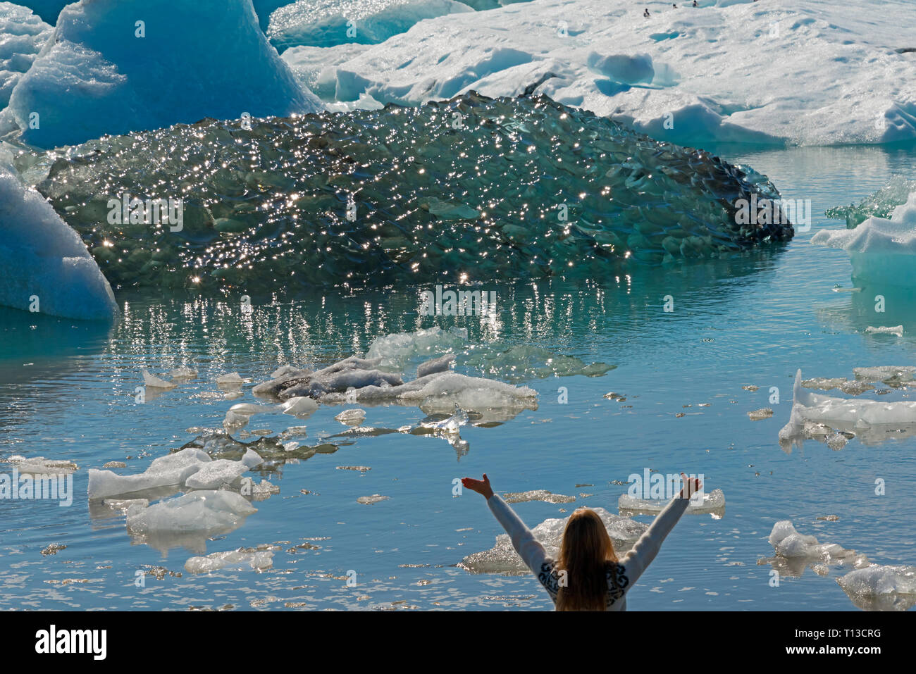 Tourist watching icebergs in Jokulsarlon Glacial Lagoon, Iceland Stock Photo