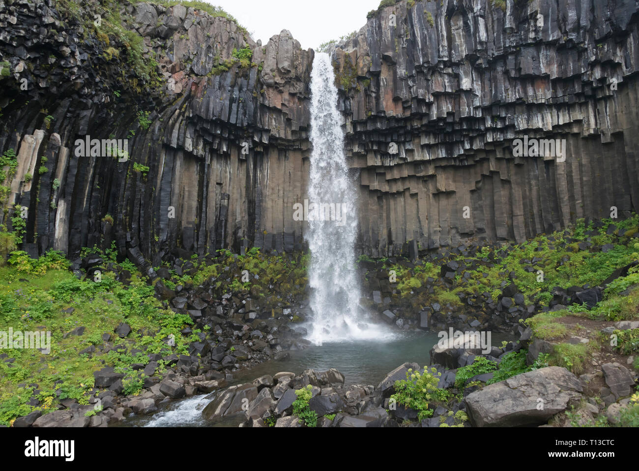 Svartifoss Waterfall surrounded by basalt columns, Skaftafell, Vatnajokull National Park, Iceland Stock Photo