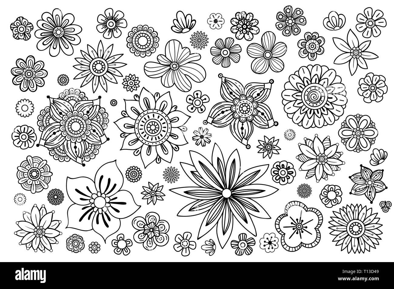 Hand drawn flowers collection. Floral design elements set. Black and white vector illustration in doodles style. Stock Vector