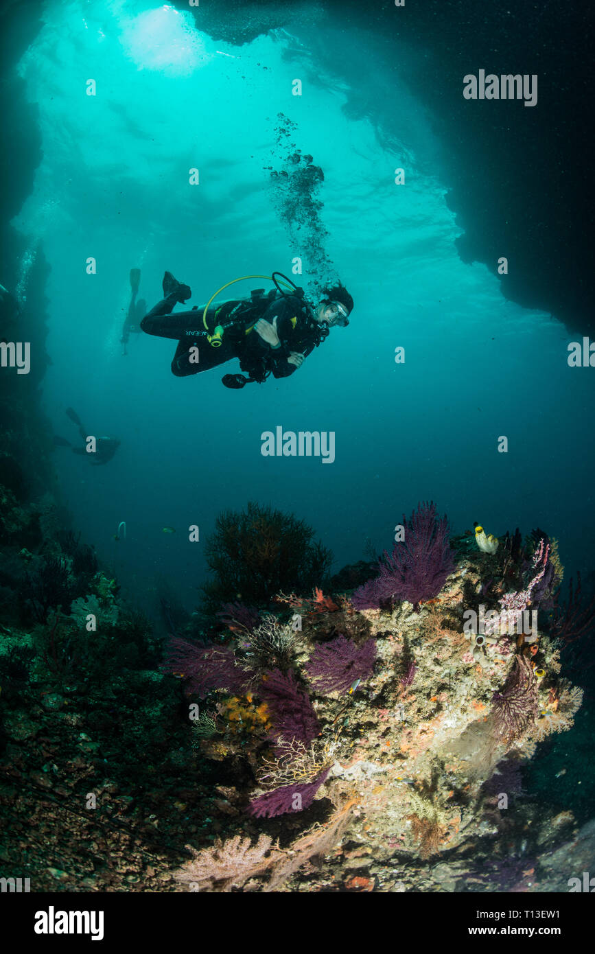 Scuba diving Raja Ampat Stock Photo Alamy