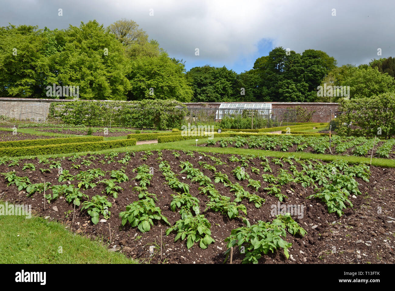 Victorian vegetable garden hires stock photography and images Alamy